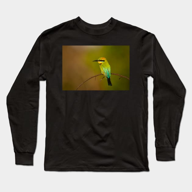 Rainbow Bee Eater, Northern Territory Long Sleeve T-Shirt by AndrewGoodall